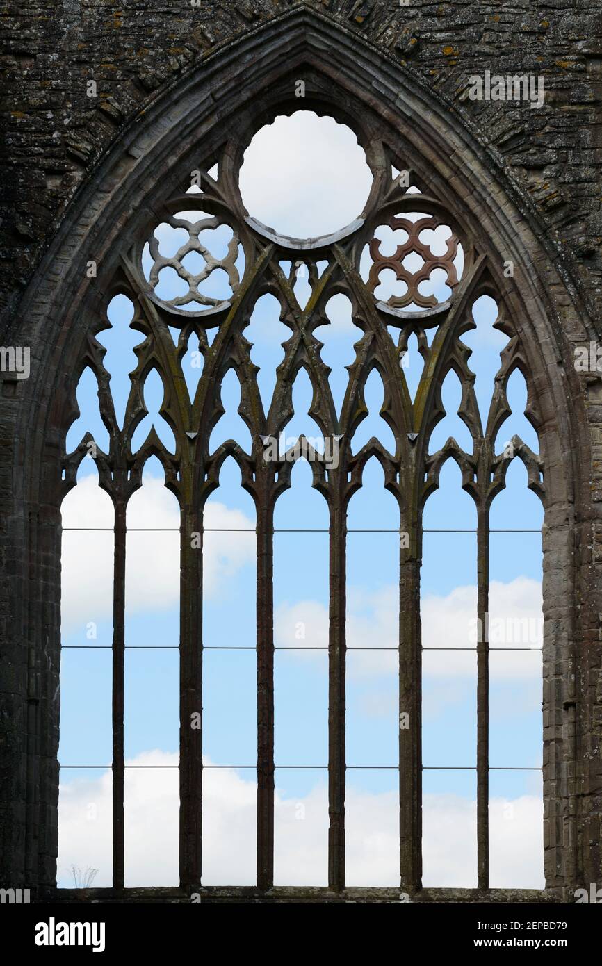 I resti di una finestra all'interno di Tintern Abbey, Monmouthshire, Galles. Foto Stock