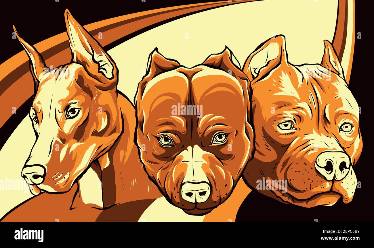 Teste di cani pitbull dobermann vettore bulldog Illustrazione Vettoriale