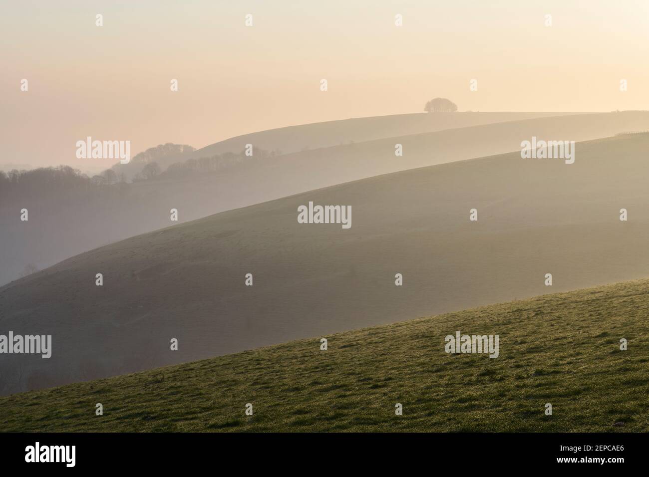 Misty Dawn vista verso Win Green, un punto di riferimento a Cranborne Chase, Wiltshire. Foto Stock
