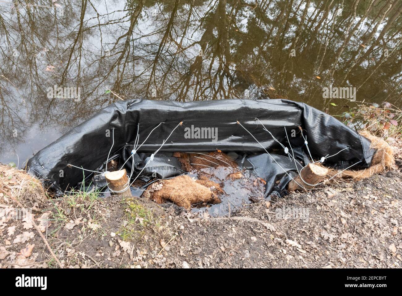 Riparazioni in corso sulla riva erosa del canale sul canale Basingstoke, Surrey, Regno Unito. Questi saranno riempiti di limo dal fondo del canale per migliorare la banca. Foto Stock