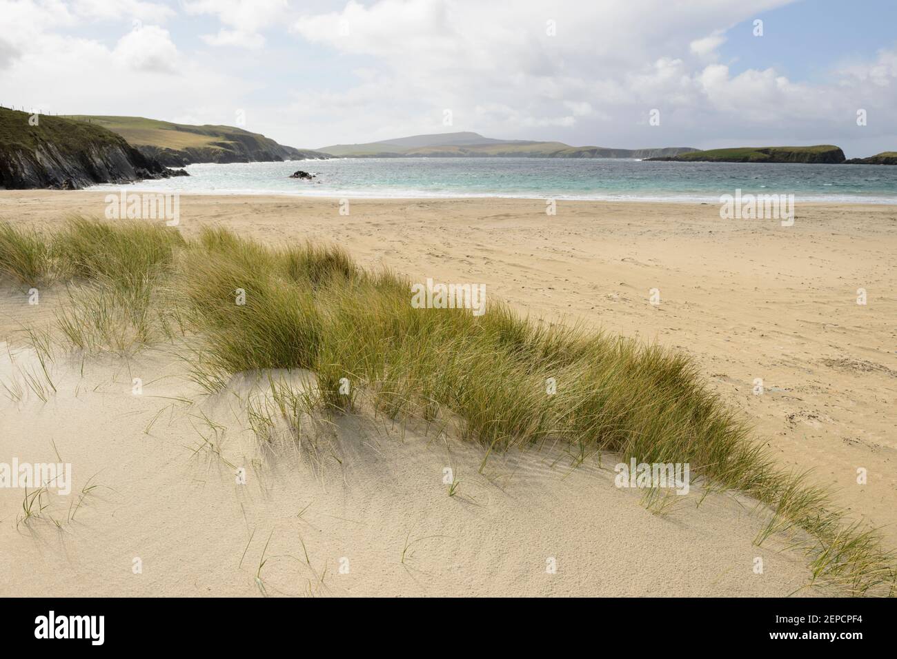 Dune di sabbia sulla spiaggia di St Ninian's Isle, Shetland. Foto Stock