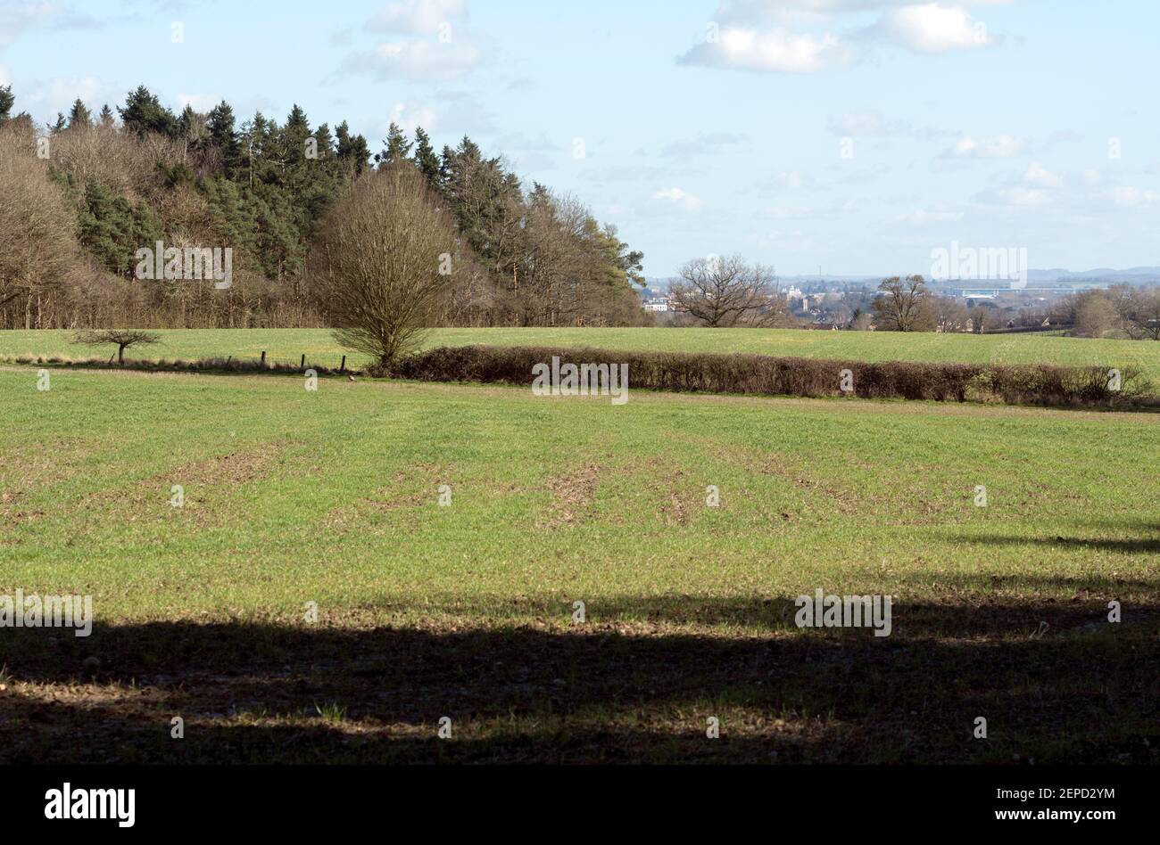 Grove Park in inverno, vicino a Hampton-on-the-Hill, Warwickshire, Inghilterra, Regno Unito Foto Stock