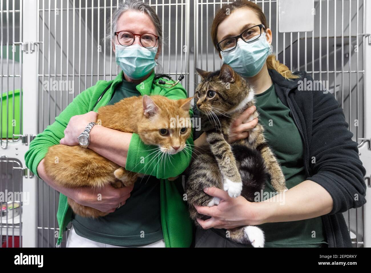 Amburgo, Germania. 27 Feb 2021. Dr. Urte Inkmann (l), veterinario capo, e custode di animali Parthena Topouzoglou tenere i gatti Lolek (l) e Bolek dopo che i gatti precedentemente Corona-positivi sono stati autorizzati a lasciare il reparto di isolamento del rifugio. I due maschi neutri, ora recuperati, si sono ora spostati nella zona di posizionamento del rifugio e sono alla ricerca di una nuova casa. Gli animali appartenevano ad una donna di Amburgo che morì dopo un'infezione da virus corona. (A dpa i gatti sono sopravvissuti a Corona: New home Wanted) Credit: Markus Scholz/dpa/Alamy Live News Foto Stock