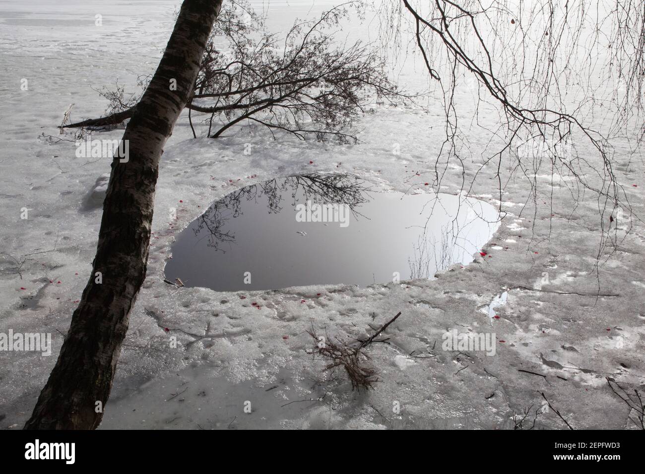 Buca a forma di cuore fatta per il nuoto invernale in un lago ghiacciato, Polonia. Foto Stock