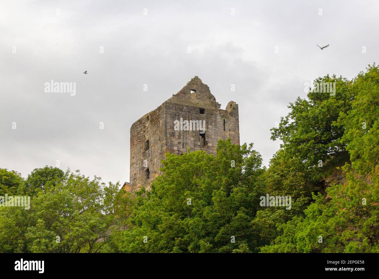 Rovina del castello di Ravenscraig a Kirkcaldy, Scozia, West Tower circondato da alberi verdi, foto scattata da una spiaggia Foto Stock