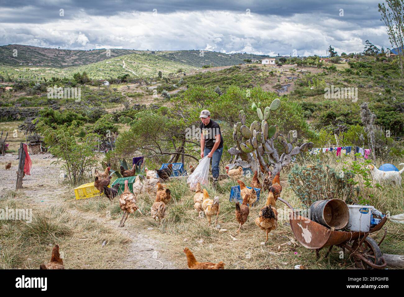 Donne colombiane allevatore di pollo. Alimentazione polli.Villa de Leyva 500 anni città vecchia. Catena montuosa. Boyaca, Colombia, Ande colombiane, Sud America Foto Stock