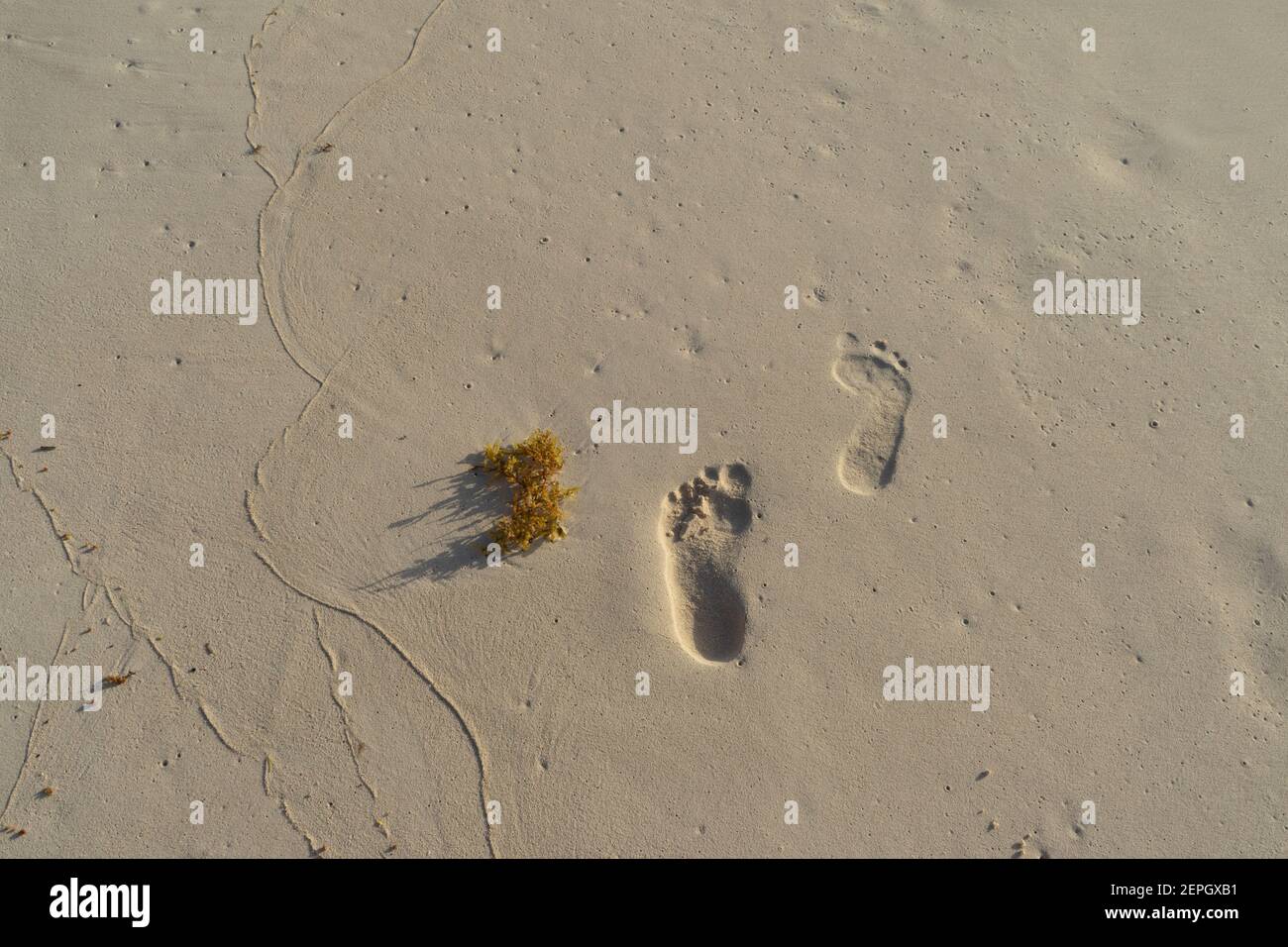 Impronte umane nella sabbia vicino al Mar dei Caraibi, Messico. Vacanze di viaggio di concetto e sfondo grafico Foto Stock