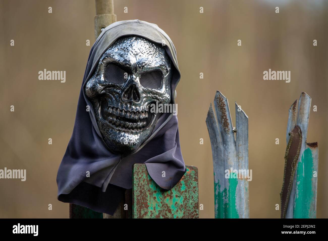 Imitazione cranio sulla parte superiore di un palo della recinzione Foto Stock