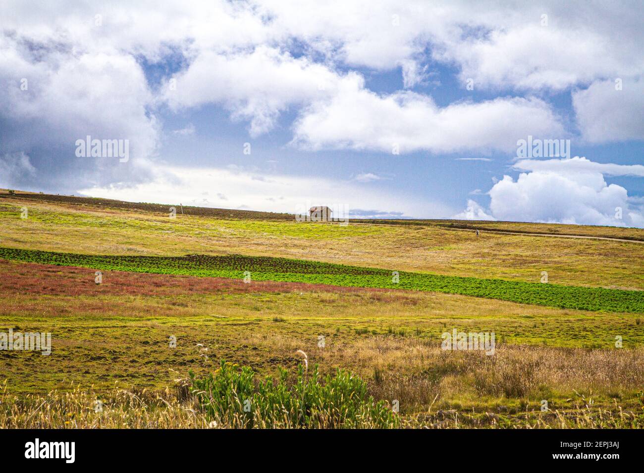 Terreni agricoli verdi, Casa agricola bianca, con bestiame, cielo grigio Ande colombiane, Dipartimento di Boyacá, Colombia, Sud America Foto Stock