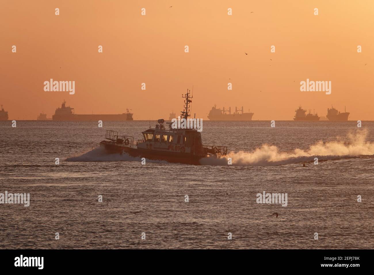 Torg Boat sul mare di Marmara al tramonto, Istanbul Foto Stock
