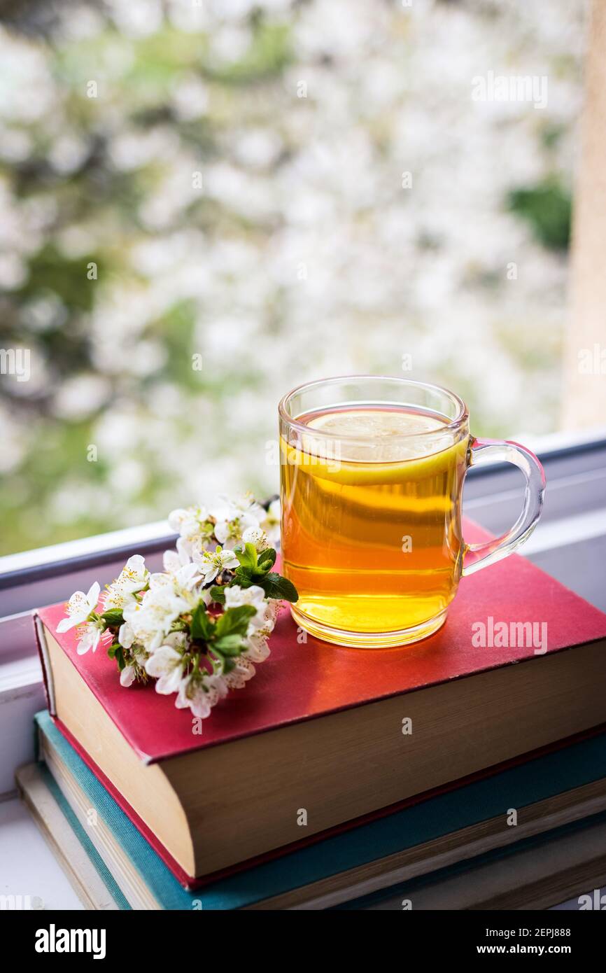 Tazza da tè e ramo in fiore sui libri alla finestra. Ancora vita con bevanda, libro e fiore su parapetto. Relax a casa in primavera mattina Foto Stock