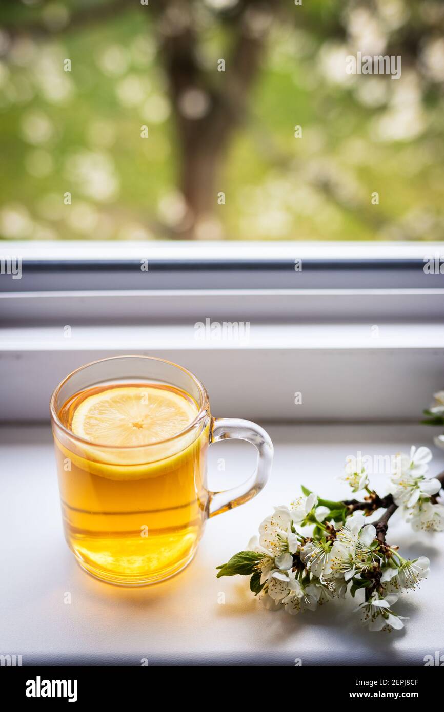 Tè con limone e ramo fiorito al davanzale. Bevanda calda. Relax a casa in primavera. Visualizza dalla finestra. Foto Stock