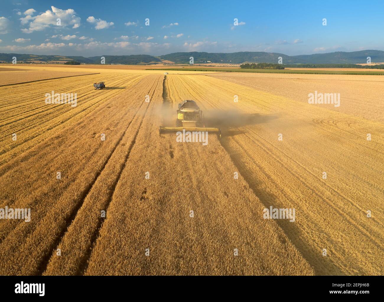 vista aerea sulla mietitrebbia che lavora sul campo. La macchina agricola raccoglie il grano al tramonto. Mietitrebbiatrice che raccoglie grano maturo d'oro f Foto Stock