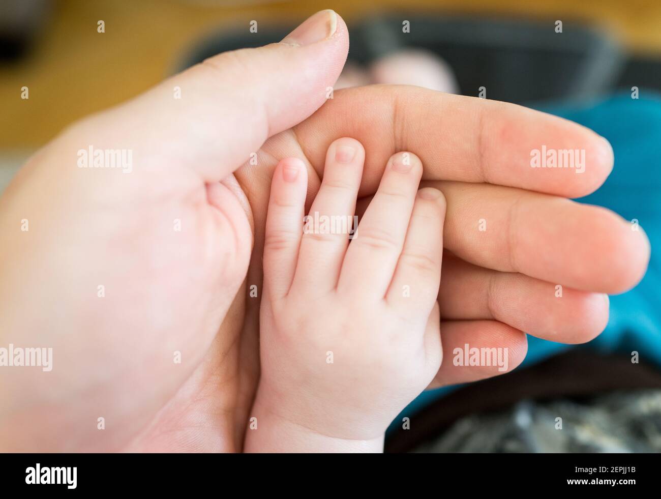 Il genitore tiene la mano piccola del bambino Foto Stock