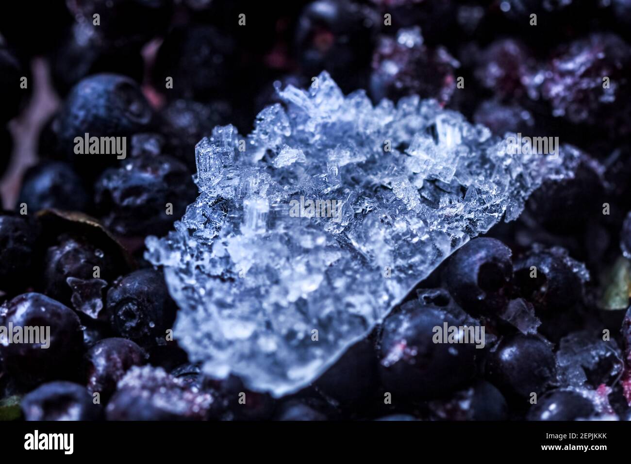 Vero e proprio ghiaccio sulle bacche per cibo fantasia e miscele Foto Stock
