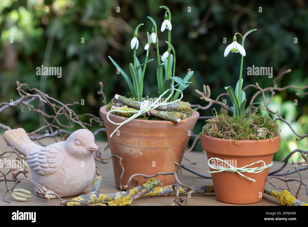 decorazioni rustiche in giardino con racchette da neve in pentole di terracotta Foto Stock