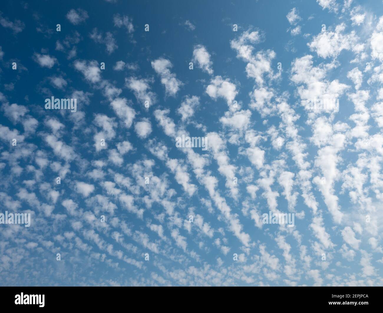 Cielo blu con nuvole a righe su una texture di sole giorno perfetto per la sostituzione del cielo Foto Stock