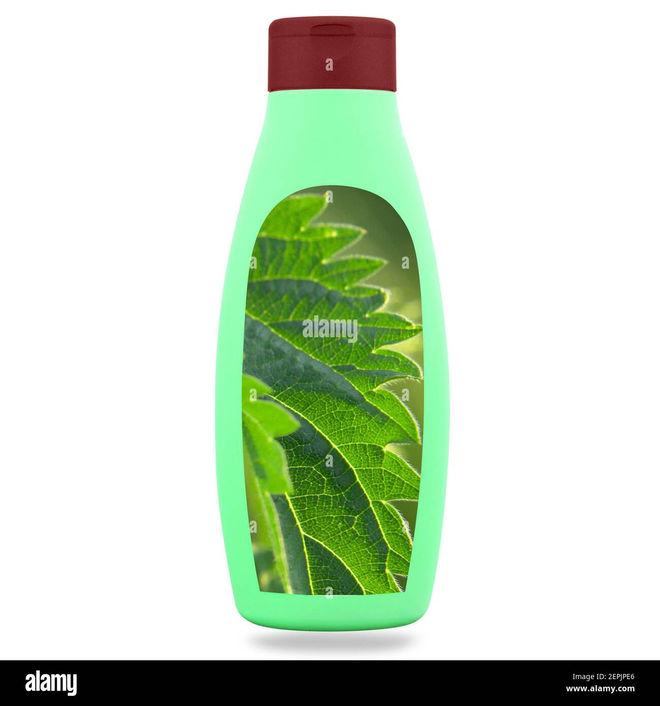 Centro benessere naturale, cosmetici a base di erbe. Shampoo o sapone di  ortica in una bottiglia. Erbe curative per la salute e la bellezza, la cura  della pelle e la cura dei