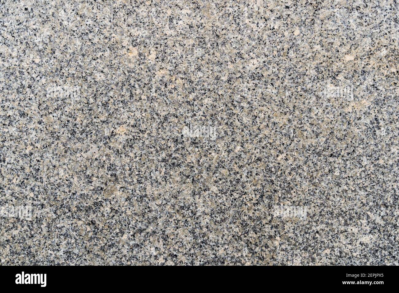 Grana fine granito modello di pietra grigia su un parete o pavimento Foto Stock