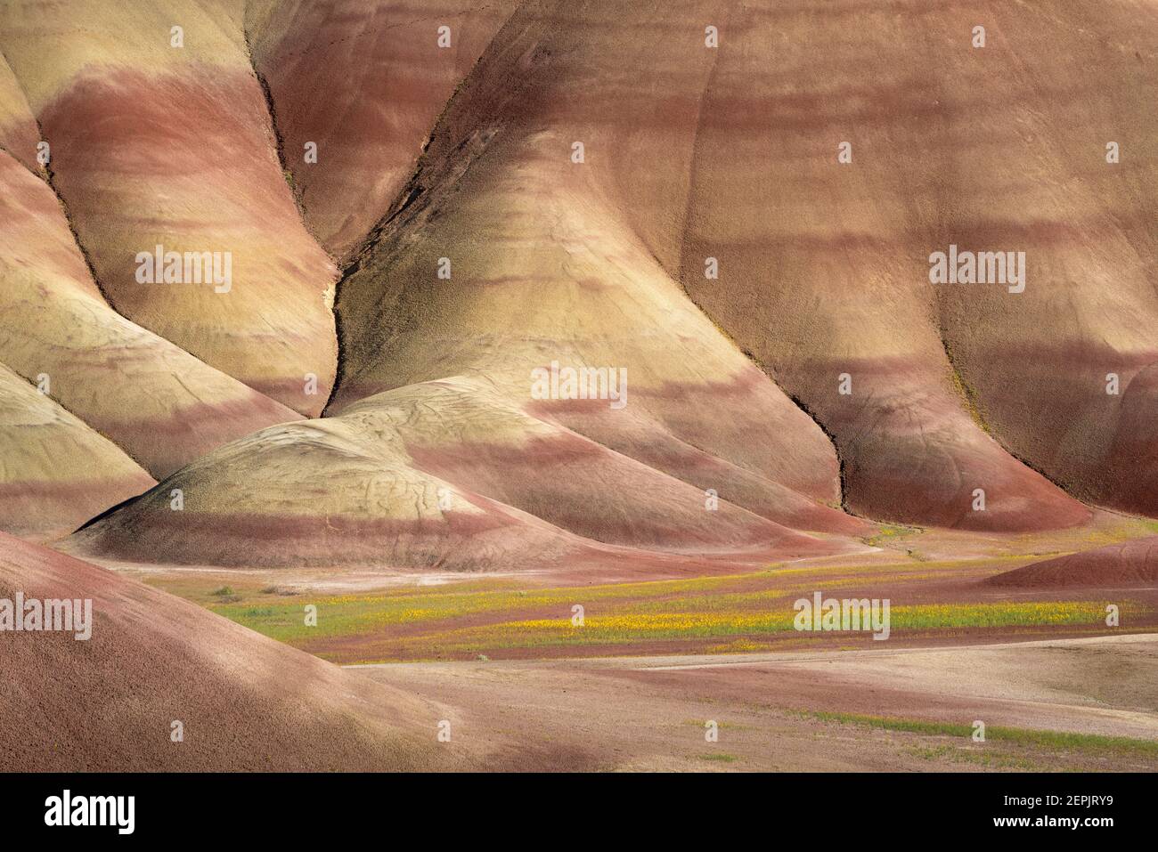 Le colline dipinte di John Day Fossil Beds National Monument nell'Oregon orientale. Foto Stock