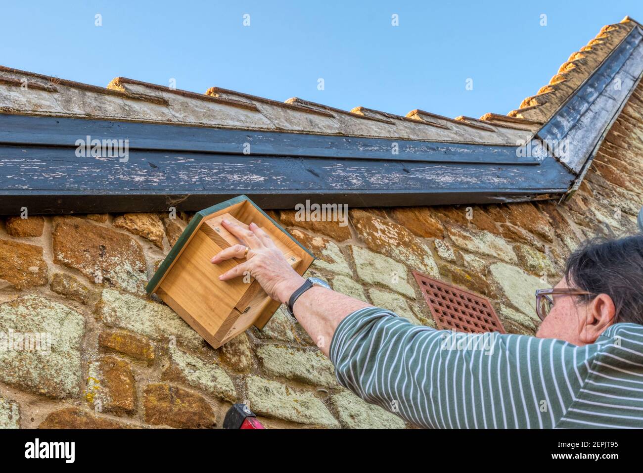 Donna che fissa la scatola di nidificazione dell'uccello sotto le gronde del cottage. Foto Stock