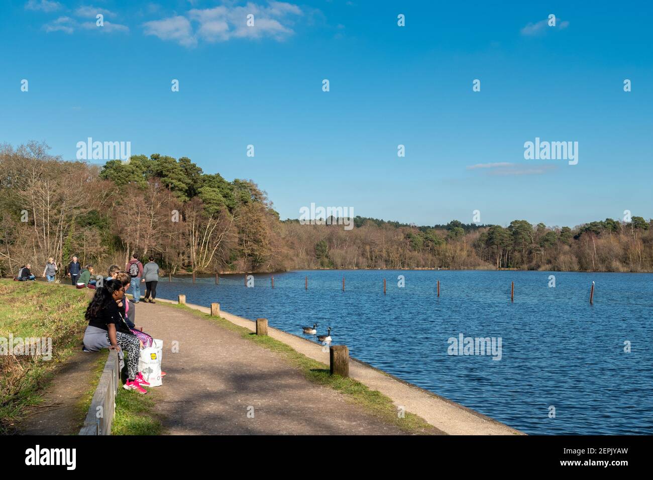 Persone che si rilassano presso il lago Mytchett in Surrey, Inghilterra, in una giornata di sole in inverno Foto Stock