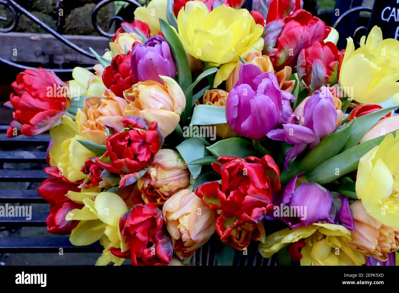 Tulipa mazzo / mazzo di tulipani misti Foto Stock