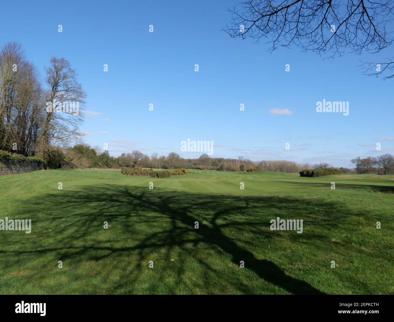 Situato a Denham, il Buckinghamshire Golf Club è un idilliaco campo da golf da campionato a 18 buche e circolo. Il campo da golf è stato progettato dal leggendario capitano della Ryder Cup, John Jacobs, che ha fatto di tutto per trasformare il parco di rotolamento della tenuta in un campo da golf maturo e impegnativo oltre i suoi anni. Il club ha l'onore di essere la casa del tour europeo delle Signore e la testimonianza della qualità del corso che abbiamo ospitato molti eventi professionali precedenti nel corso degli anni. Tra cui la più recente Rose Ladies Series, la Anderson Consulting World Match Play. Foto Stock