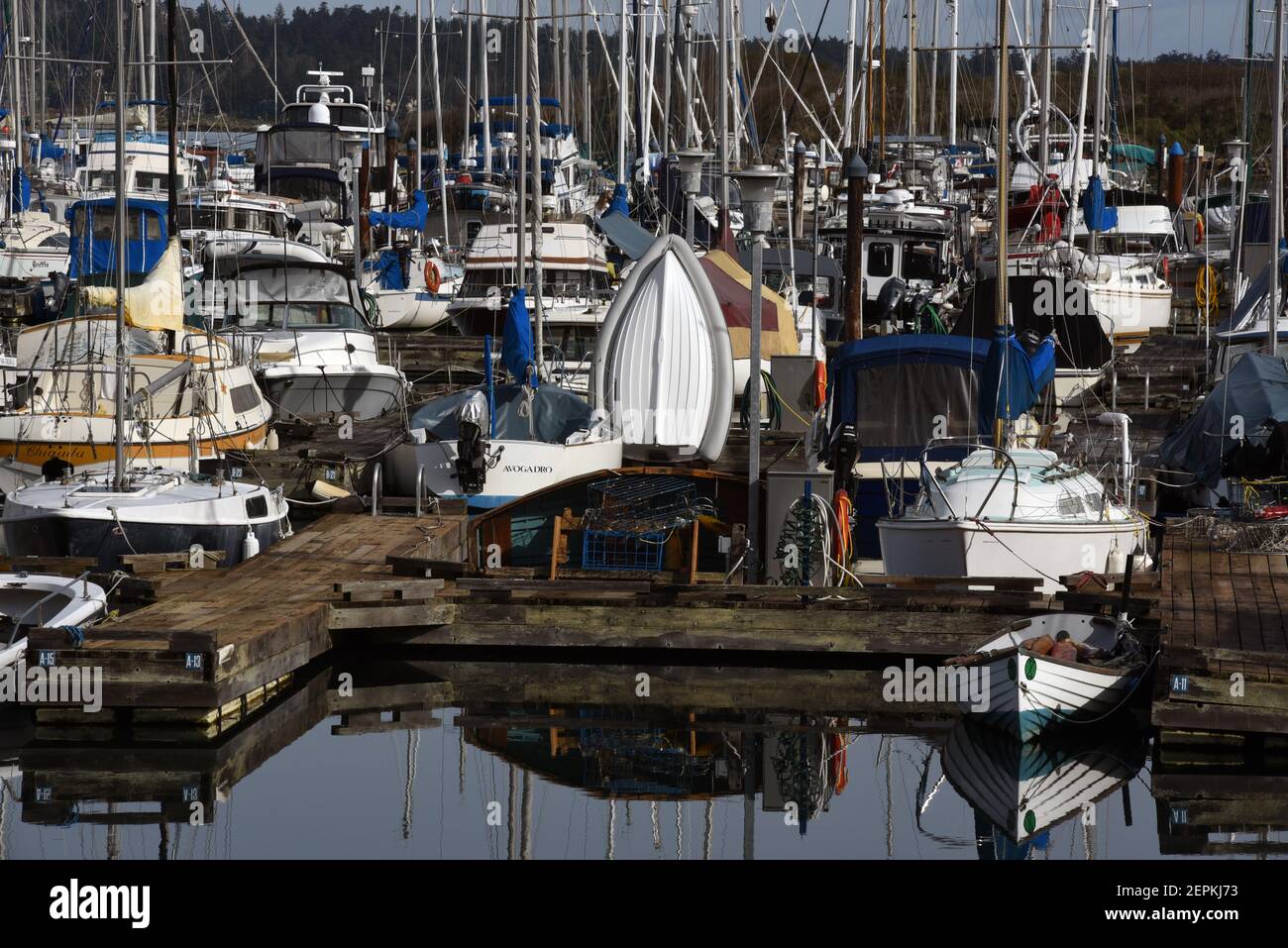 Una varietà di barche sono ormeggiate presso le banchine presso l'Oak Bay Marina a Oak Bay, British Columbia, Canada sull'isola di Vancouver Foto Stock