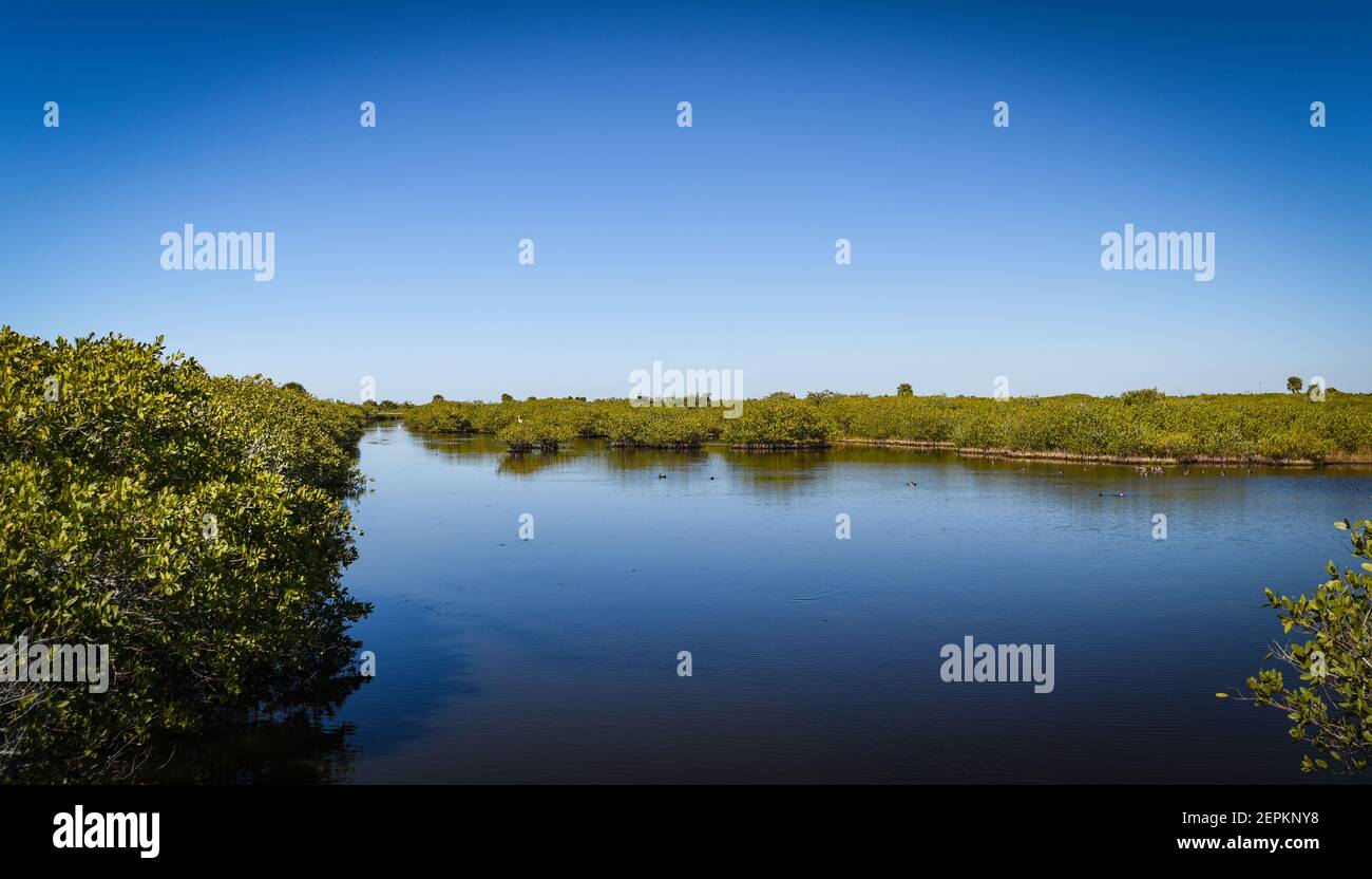 Splendida e naturale Florida Foto Stock