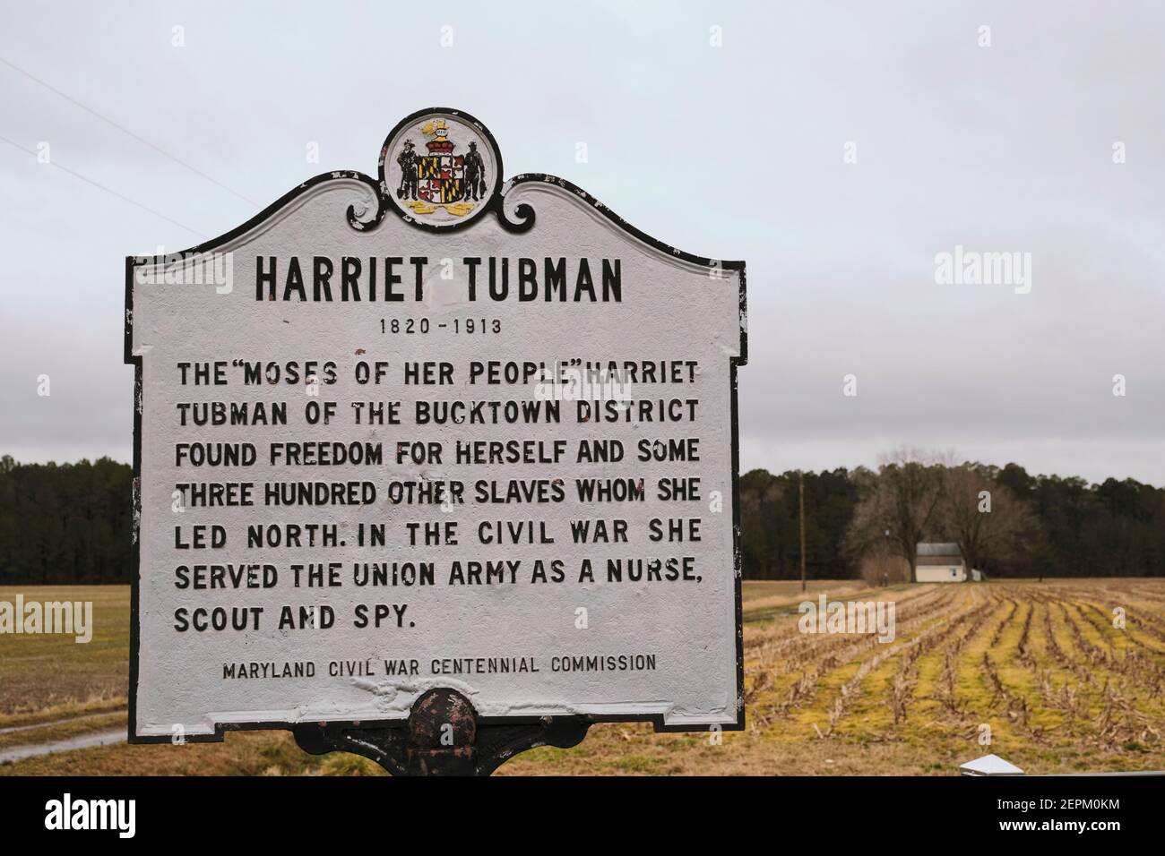 Brodess Farm. Sito di Harriet Tubman la casa dell'infanzia. L'originale edificio rurale non esiste più. Foto Stock