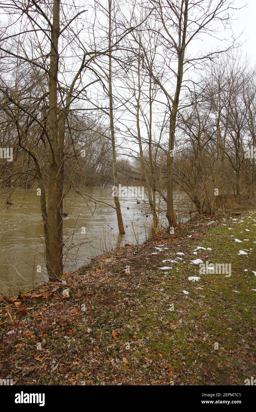 Olentangy River flooding a River, Ohio Foto Stock