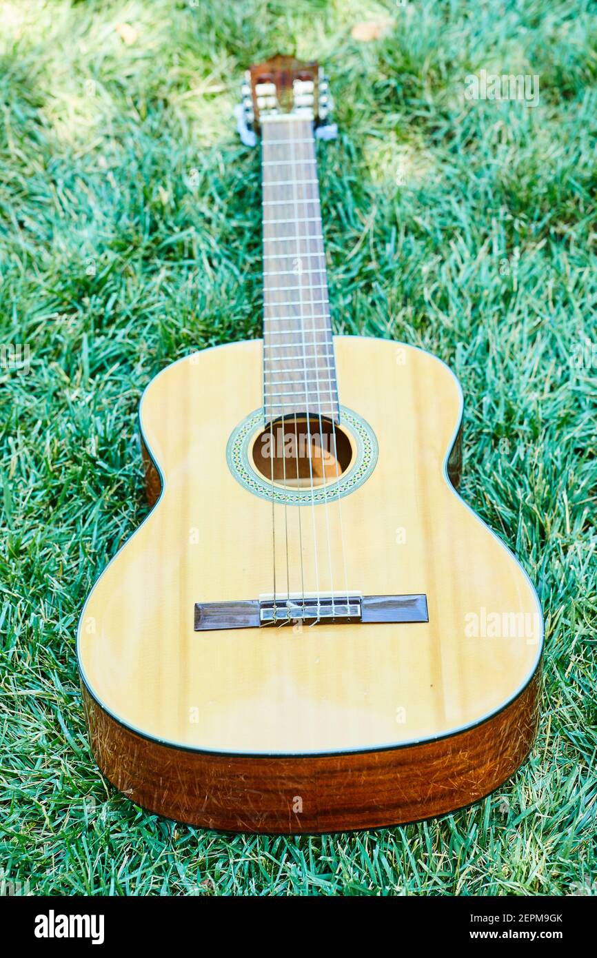 Una chitarra messa sull'erba verde Foto Stock