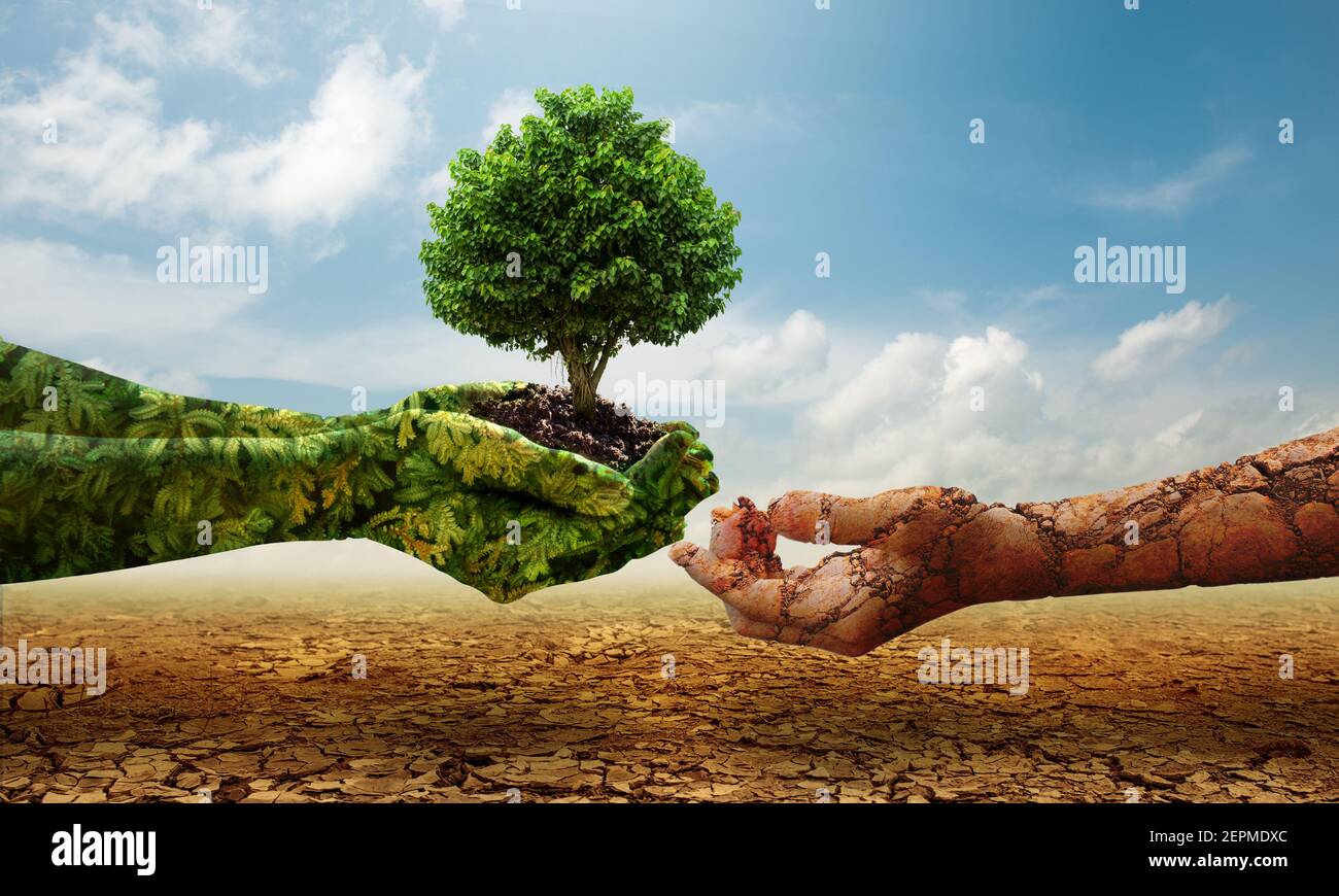 Mani verdi che tengono albero crescente e mano di suolo asciutto sulla terra di spaccatura. Foto Stock