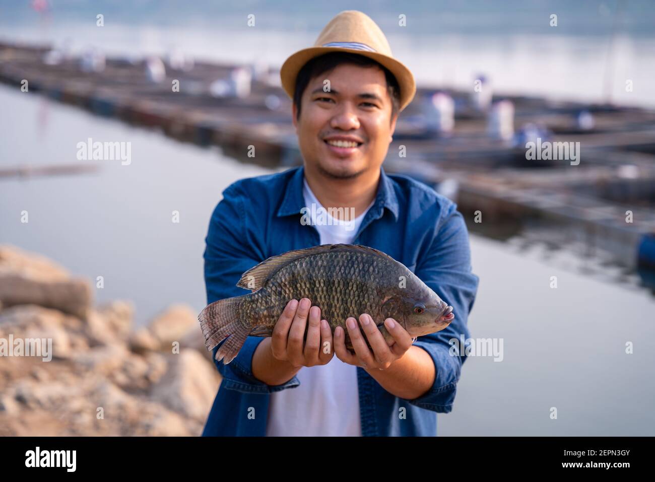 Pescatore che tiene grandi pesci di tilapia, pesce d'acqua dolce che è stato allevato in stagni e gabbie. Foto Stock