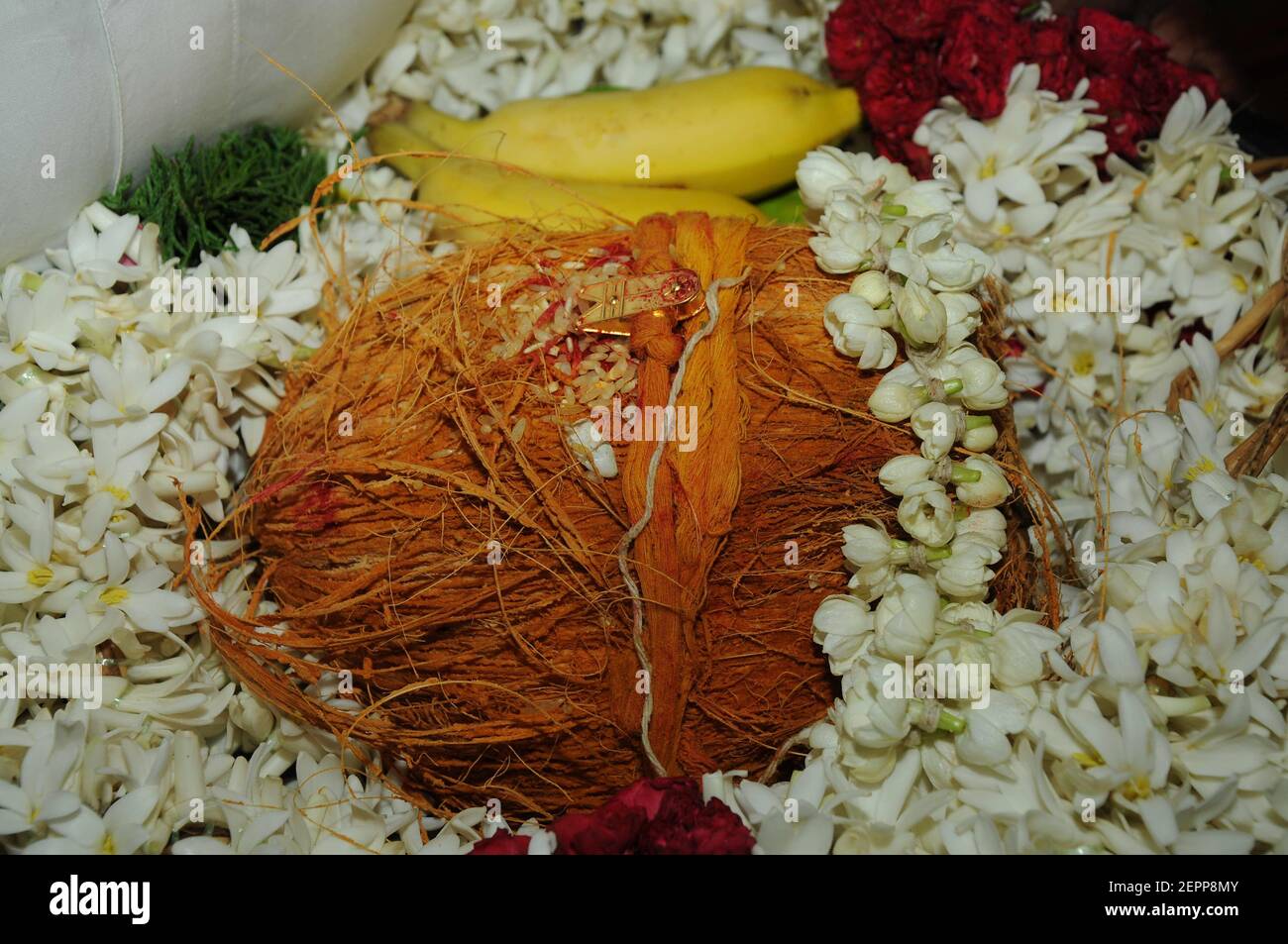 Sud indiano cerimonia di nozze nodo con oro thaali / mangalyam Foto Stock