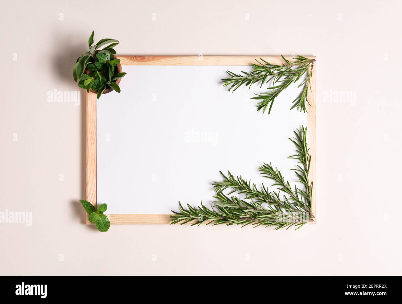vista dall'alto, foglio bianco di carta con rami di rosmarino e foglie di menta e salvia Foto Stock