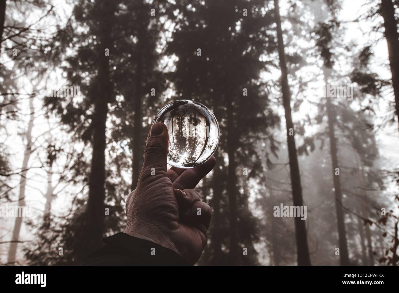 Fotografia di Lensball in una mistica scena boschiva Foto Stock