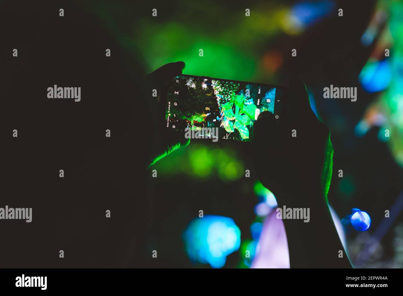 Lublino, Polonia - 1 giugno 2019: Decorazioni artistiche illuminate di pesci a Zaułek Hartwigów durante la notte della cultura (NOC Kultury) nella città vecchia Foto Stock