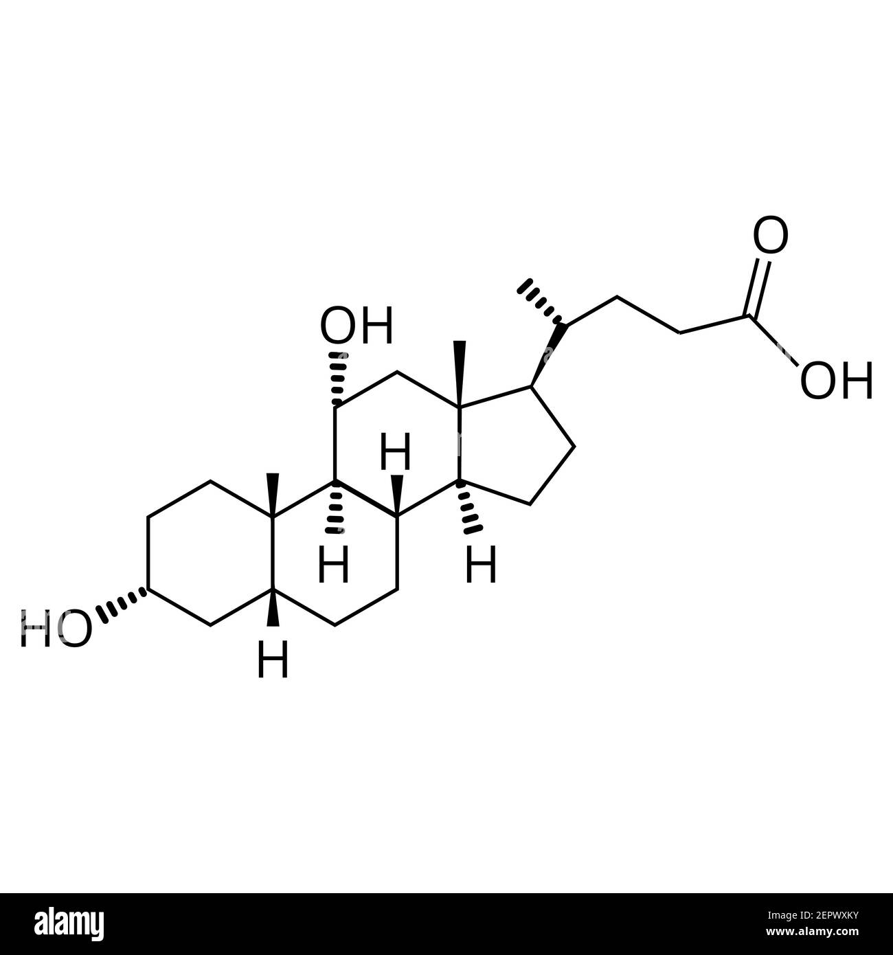 Acido chenodesossicolico. Acido biliare. Formula chimica molecolare acido chenodesossicolico. Illustrazione vettoriale su sfondo isolato Illustrazione Vettoriale