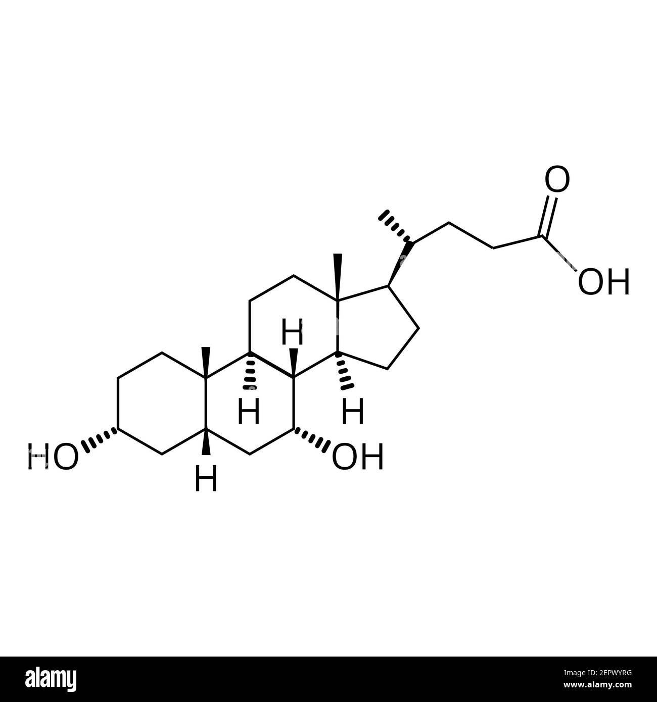 Acido chenodesossicolico. Acido biliare. Formula chimica molecolare acido chenodesossicolico. Illustrazione vettoriale su sfondo isolato Illustrazione Vettoriale