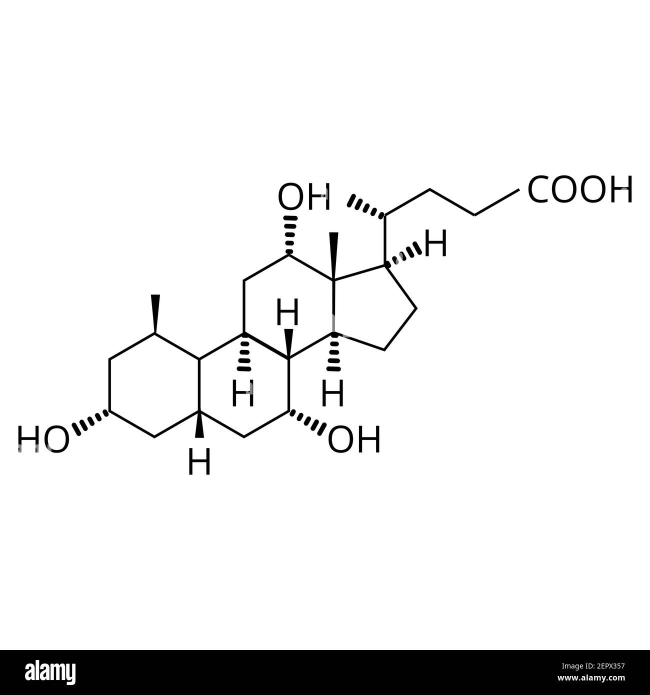 Acido colico. Acido biliare. La formula molecolare chimica è l'acido colico. Illustrazione vettoriale su sfondo isolato Illustrazione Vettoriale