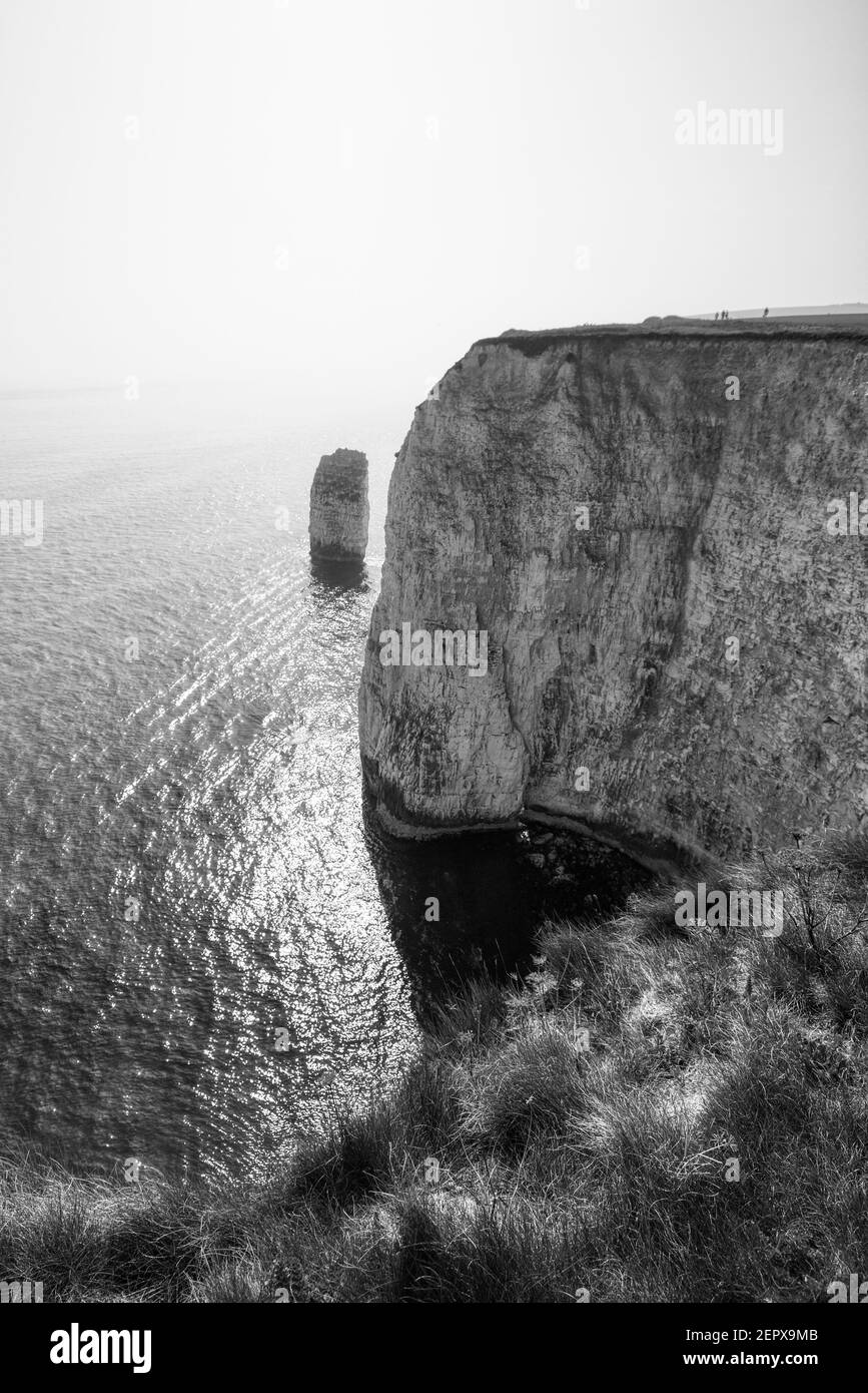 Big & Small, The Rocks of Old Harry Foto Stock