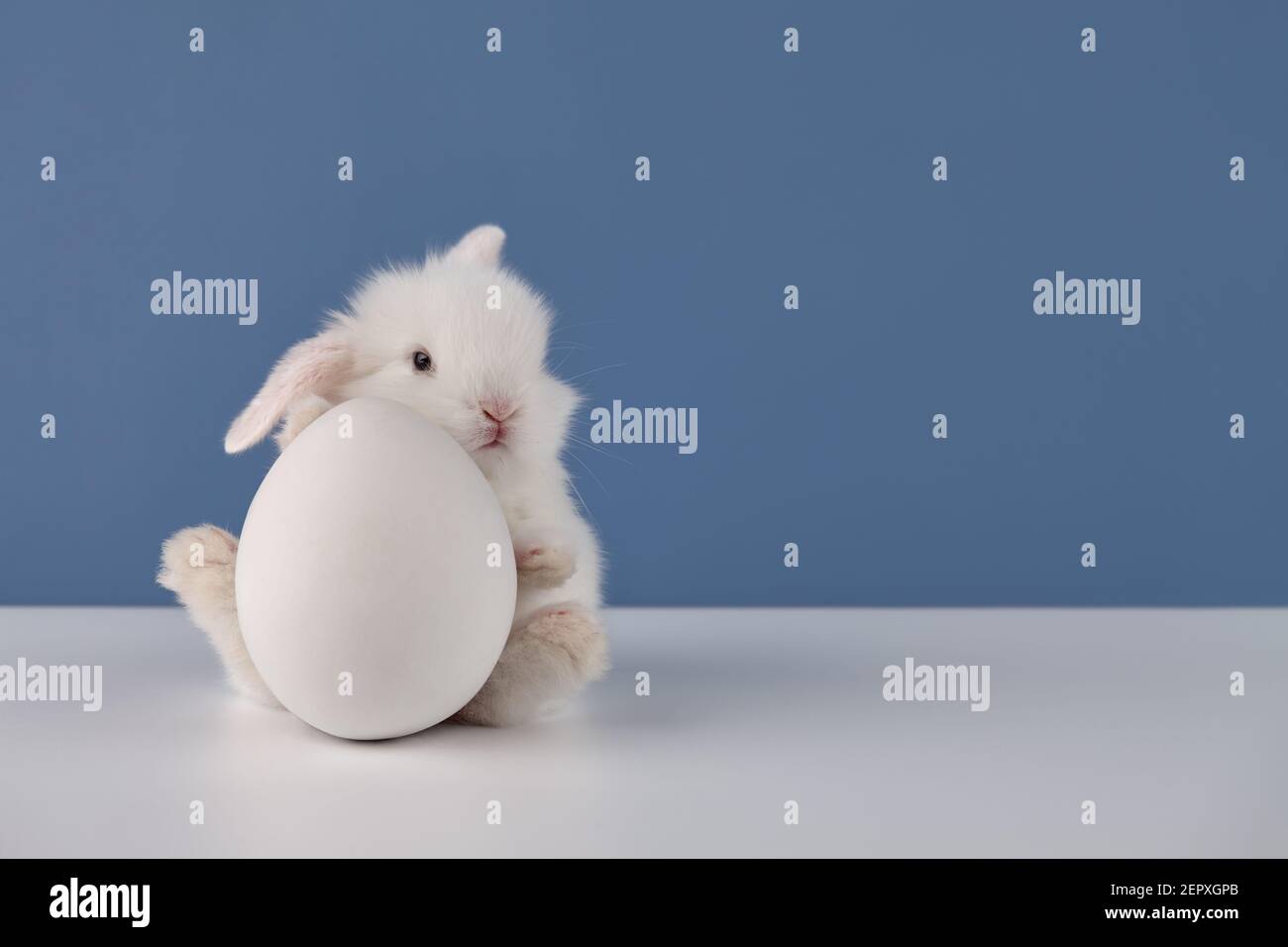 Coniglio del bambino con uovo bianco grande di Pasqua su sfondo blu, spazio di copia Foto Stock