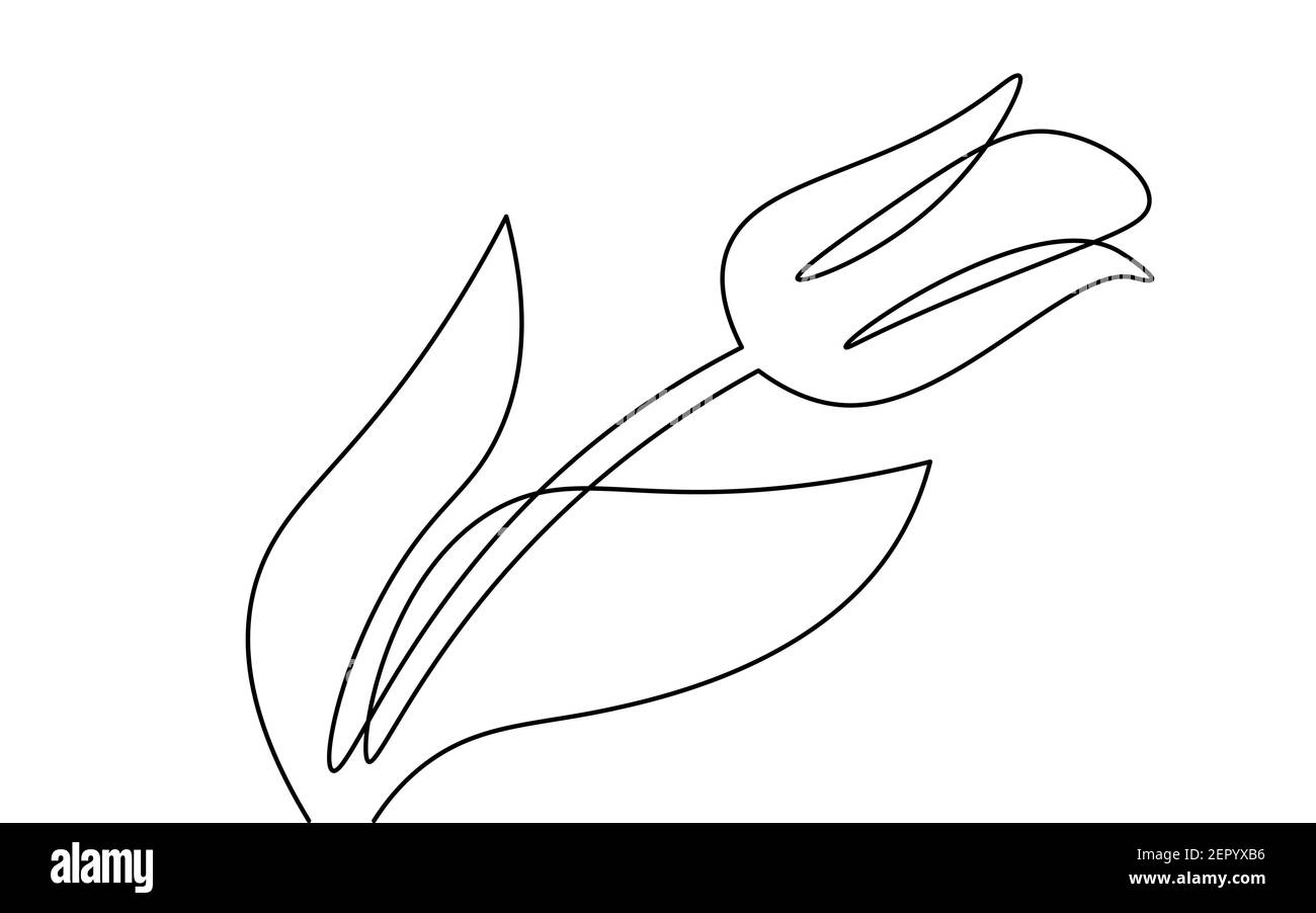 Un elemento a tulipano a fiore. Bianco e nero monocromo continuo monolinea art. Floral natura Donna giorno regalo romantica data illustrazione schizzo Illustrazione Vettoriale