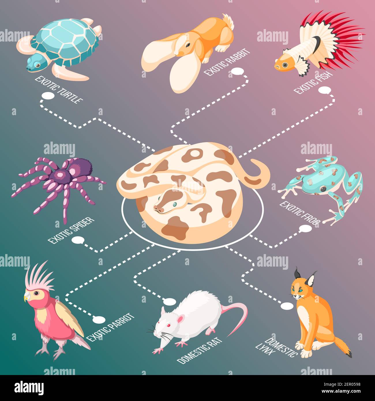 Animali esotici diagramma di flusso isometrico con pesce coniglio tartaruga pappagallo lynx rat rana ragno cartoni animati illustrazione vettoriale Illustrazione Vettoriale