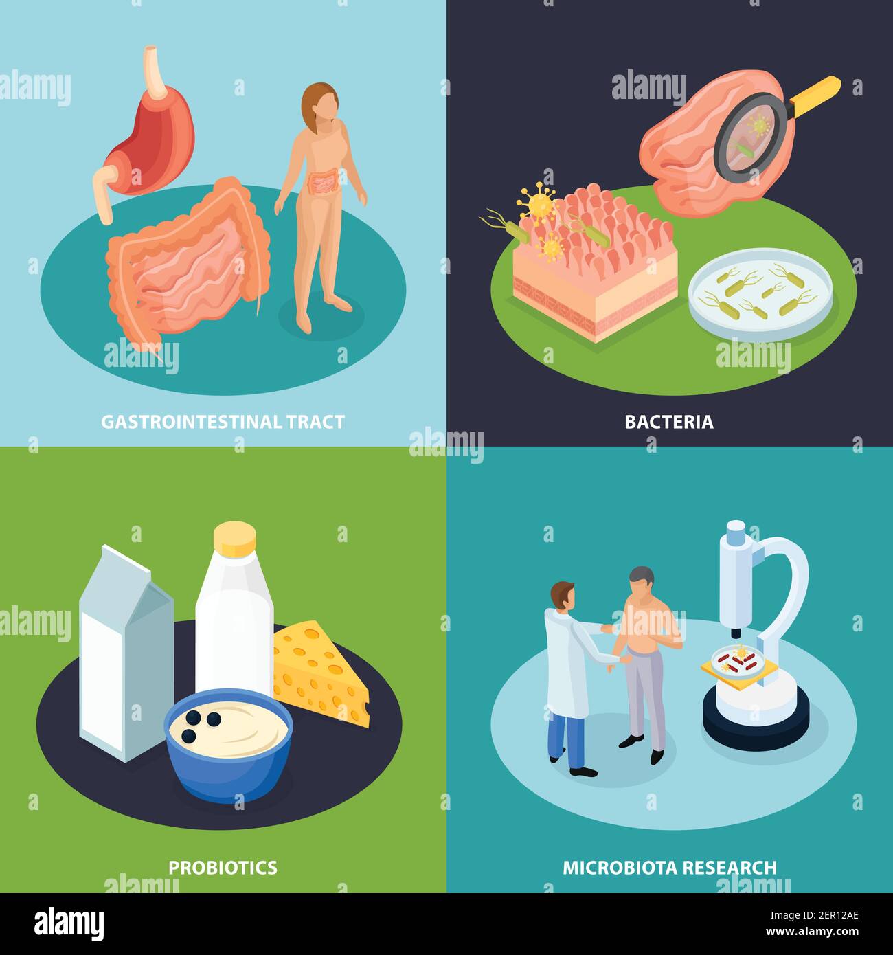 Probiotici concetto di progettazione isometrica 2x2 con immagini concettuali di organi cibo e batteri con caratteri umani illustrazione vettoriale Illustrazione Vettoriale