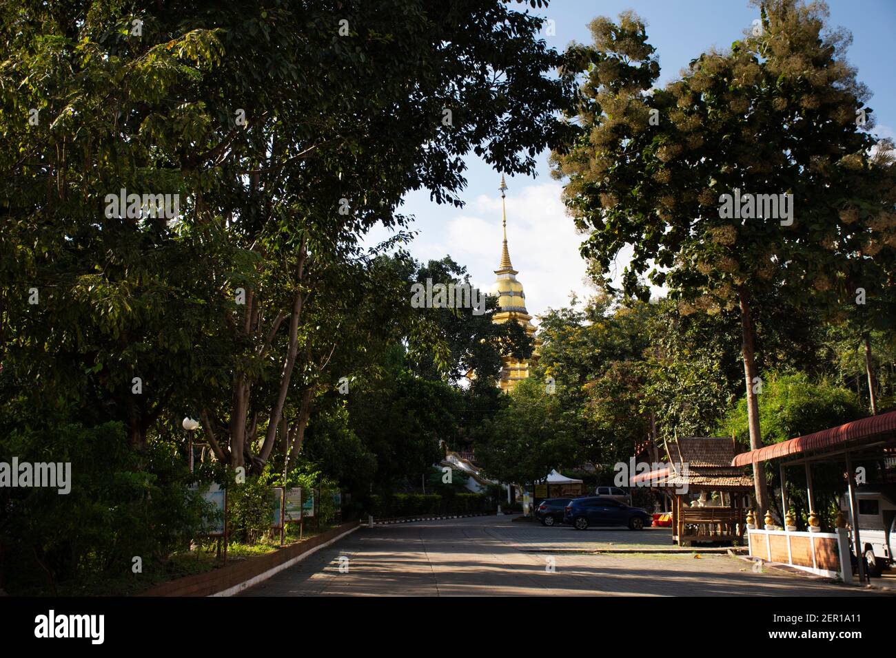 Paesaggio e Chedi pagoda stupa di Wat Phra che Doi Saket tempio per i thailandesi e viaggiatori stranieri visita E rispetto a pregare a Chiangmai Foto Stock