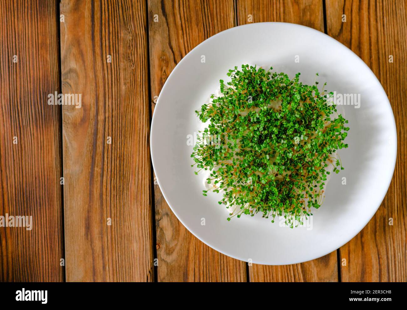 Arugula germogli in un piatto di ceramica sulla vecchia vista rustica tavolo. Micro verde pieno di vitamine e freschezza. Concetto di cibo eccellente. Spazio di copia. Foto Stock