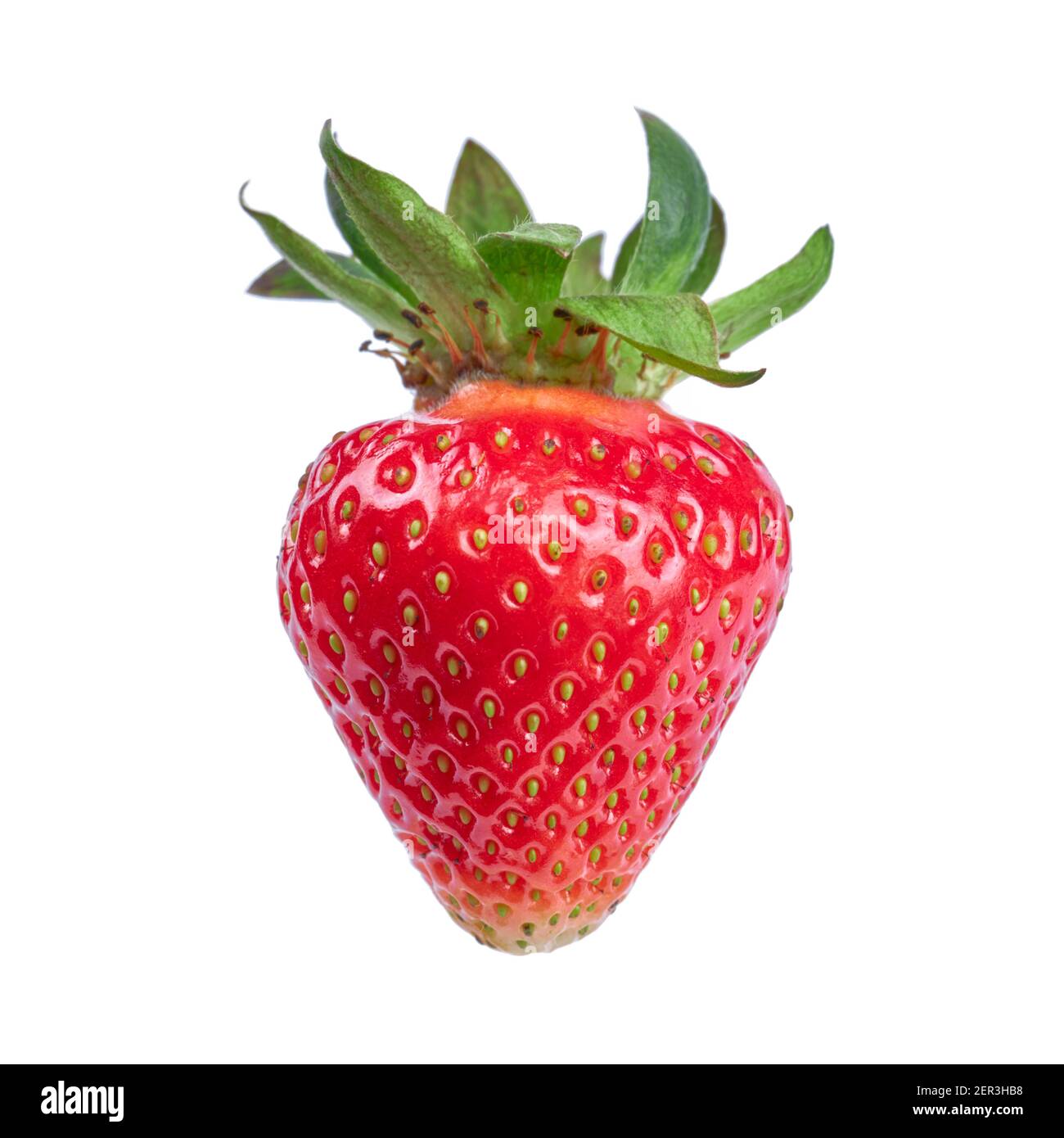 fragola matura e deliziosa isolata su sfondo bianco. elemento di design Foto Stock